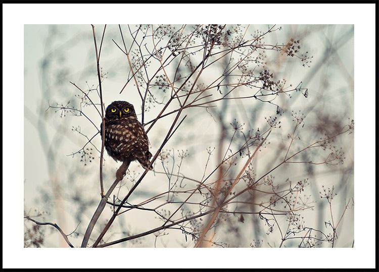 Podívejte se na mě! Plakát