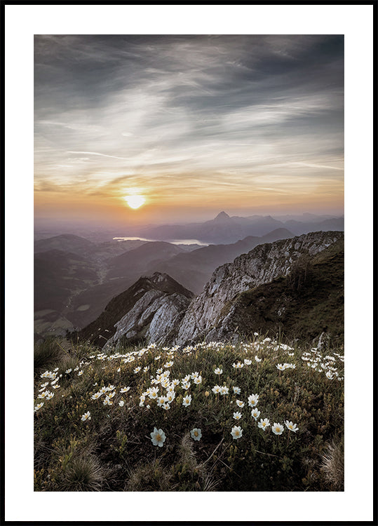 Sunrise Over Mountain Wildflowers Plakat - Posterbox.dk