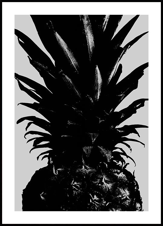 Ananas bw