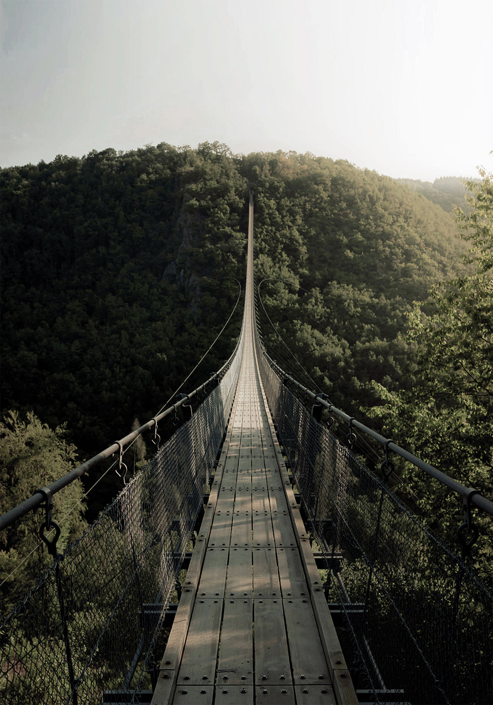 Hanging Bridge Plakat - Posterbox.dk