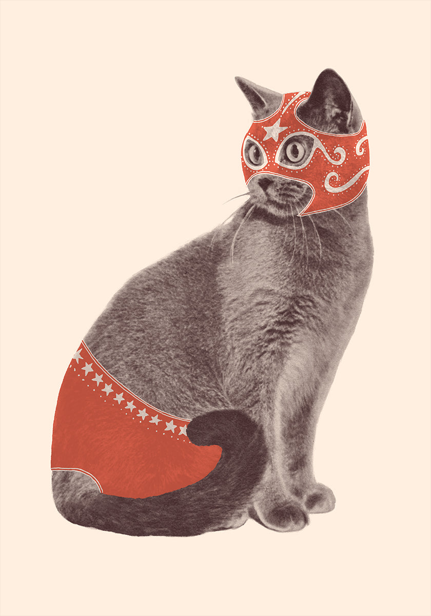 Chat Catcheur Plakat