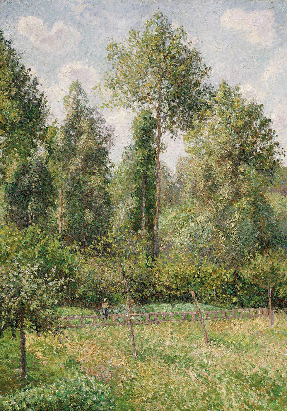 Poplars Éragny By Camille Pissarro Plakat - Posterbox.dk