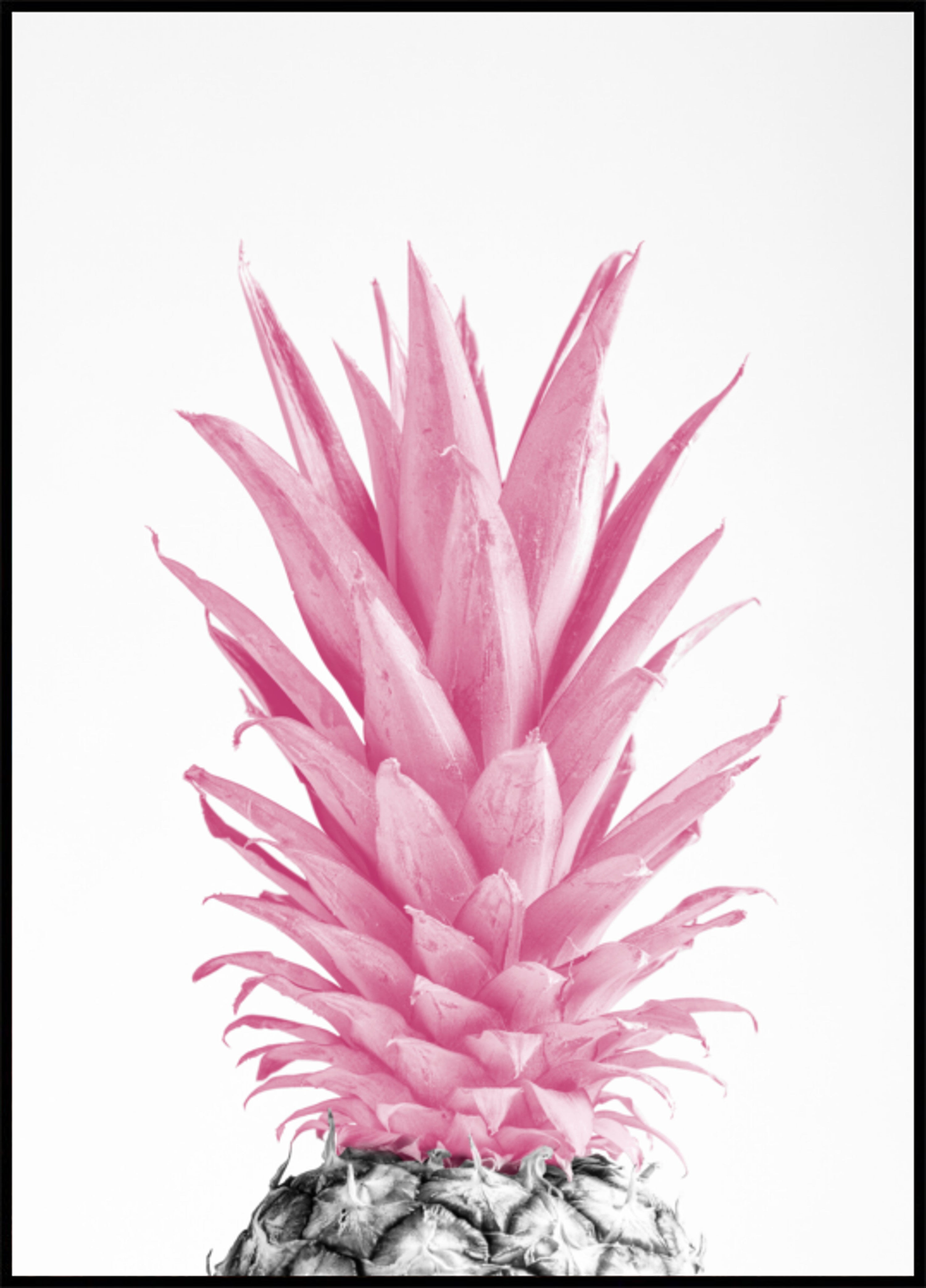 Tropický růžový ananas