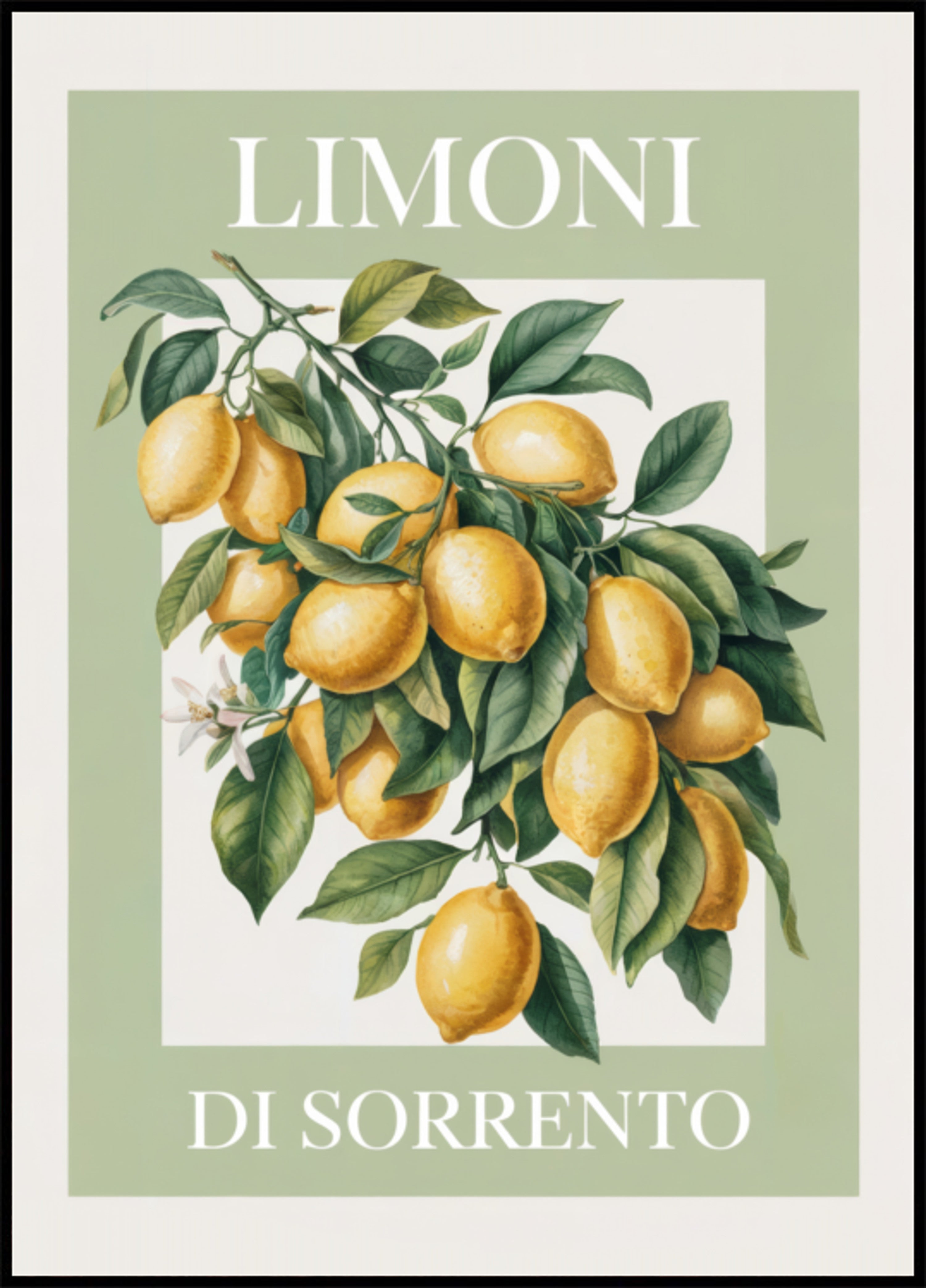 Citrony ze Sorrenta