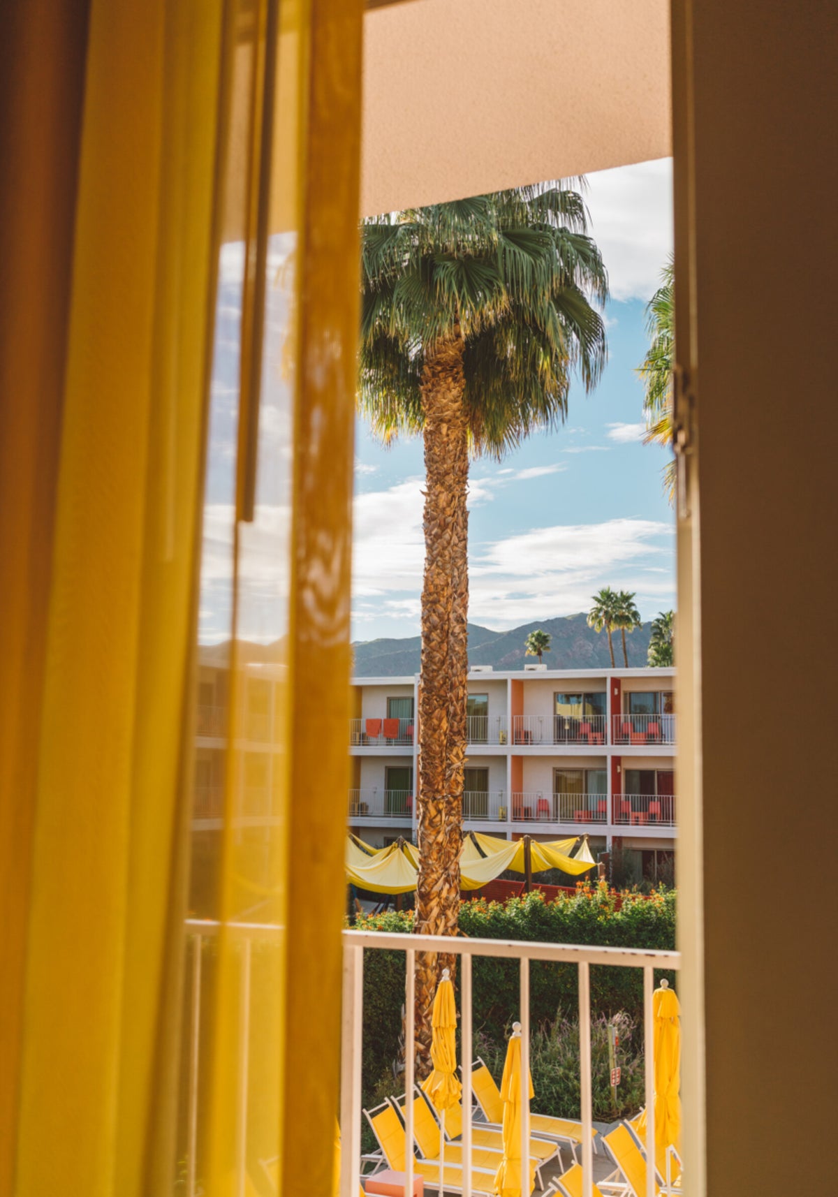 Výhled na Palm Tree Resort