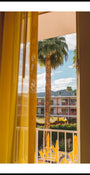 Výhled na Palm Tree Resort