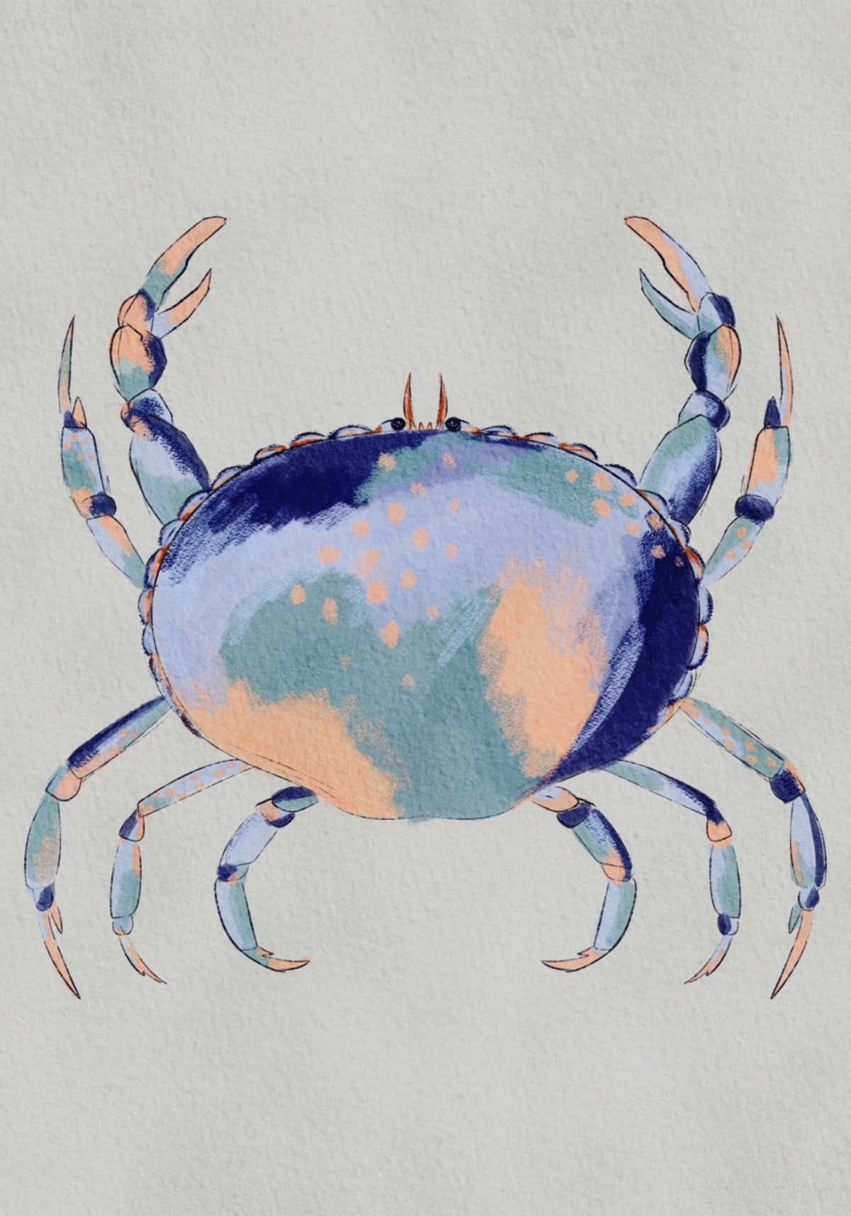 Klidný modrý krab