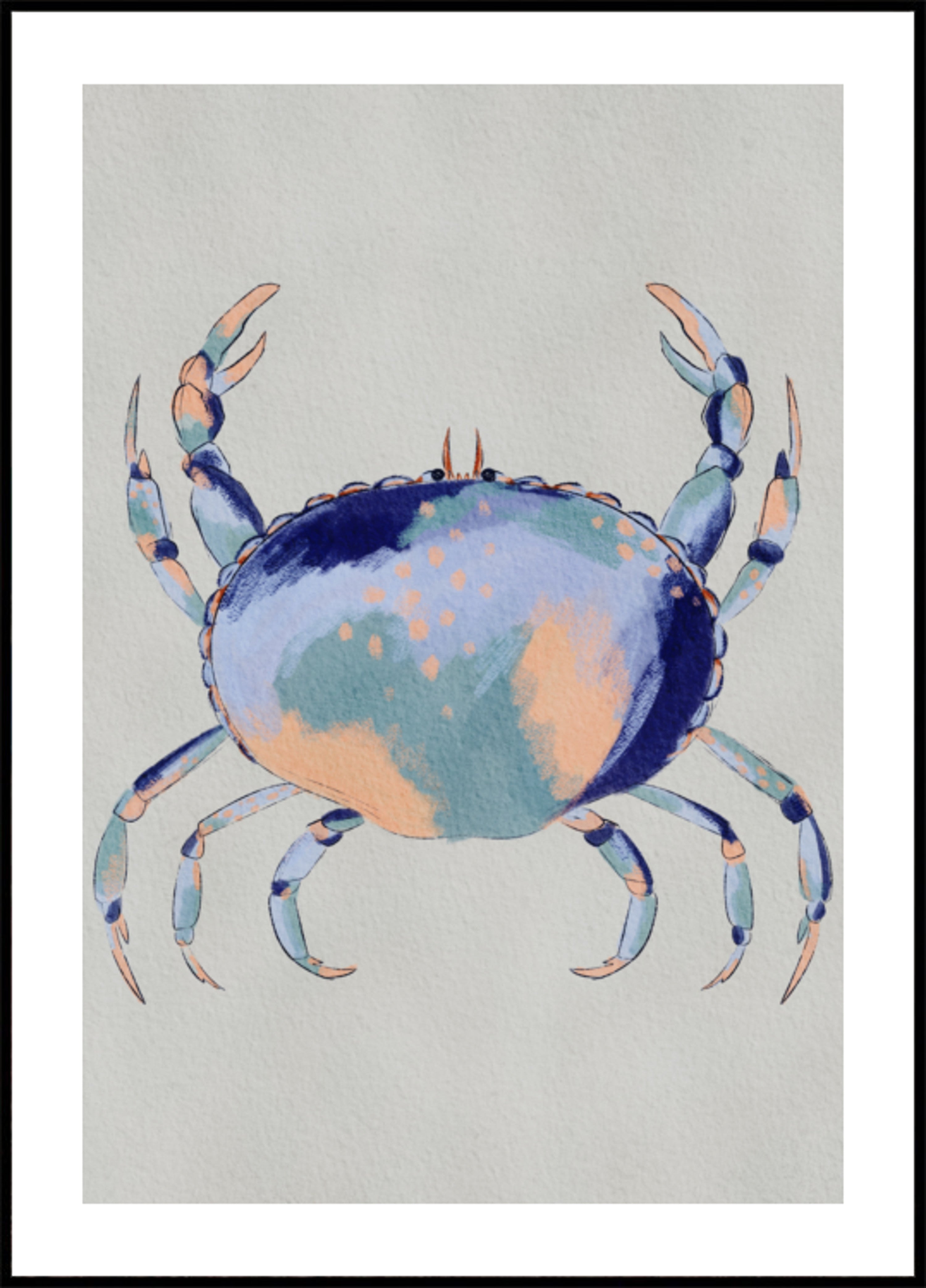 Klidný modrý krab