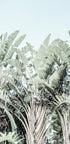 Tropical Whispers - Posterbox