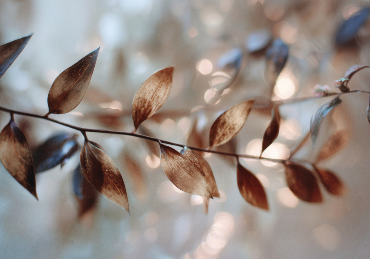 Jemné bokeh listy