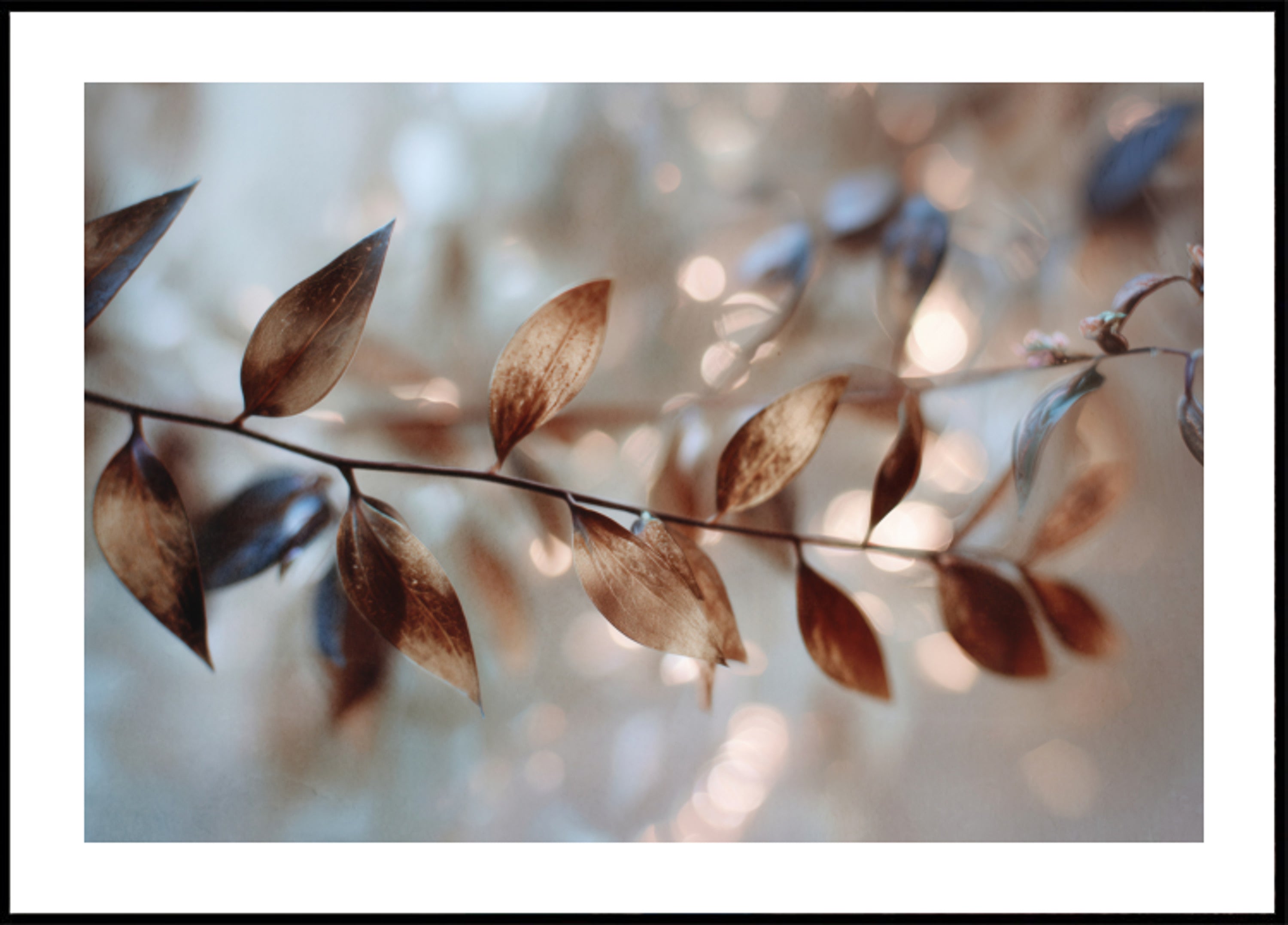 Jemné bokeh listy