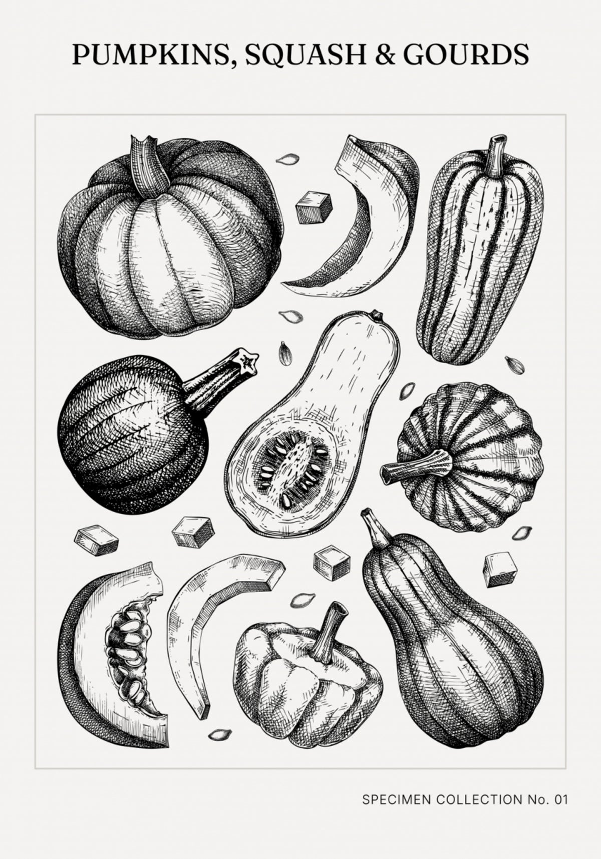 Vintage botanické dýně