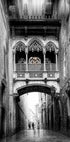 Bishop´s Bridge (Barcelona Series) (NEW) - Posterbox