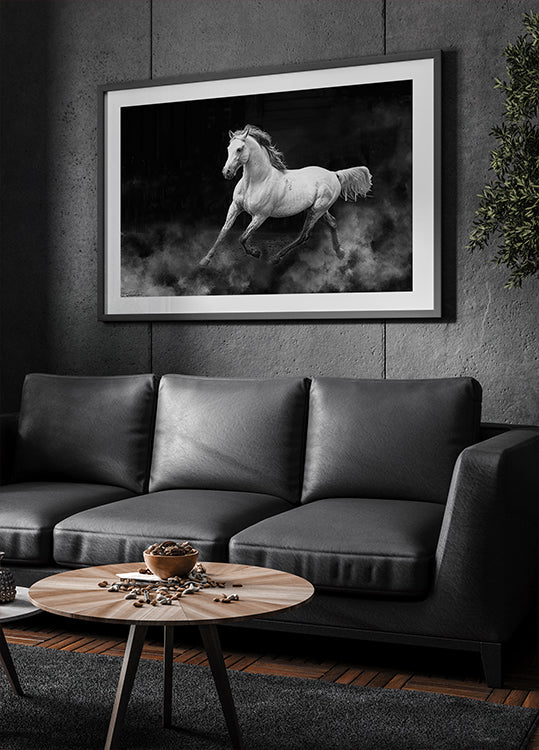 Fergana horse (NEW) - Posterbox