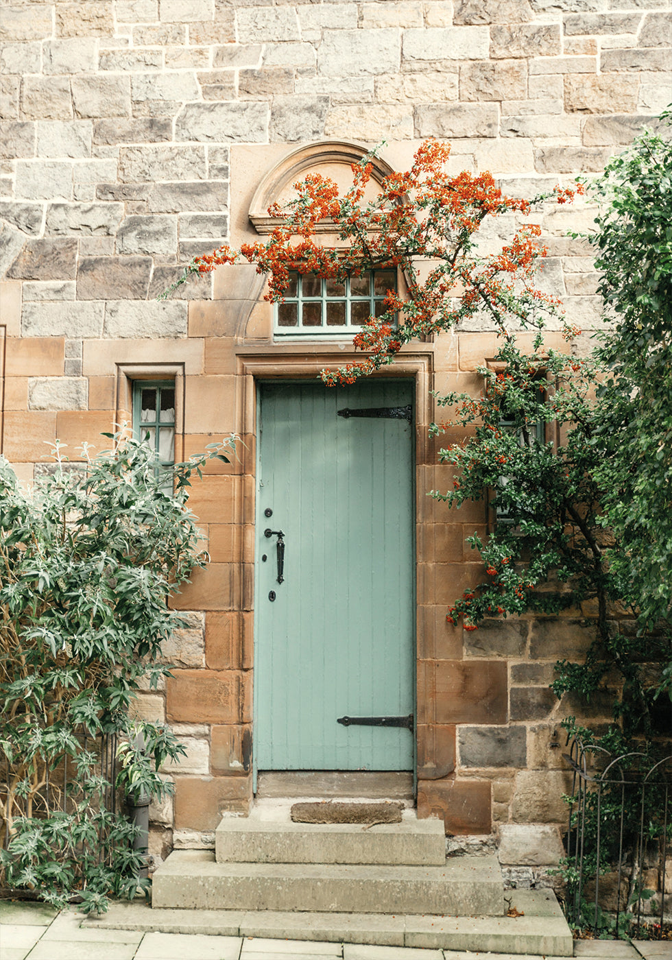 Door Plakat - Posterbox.dk