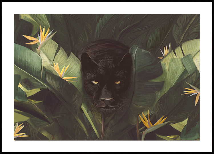 Black Panther Jungle Gaze (NEW) - Posterbox