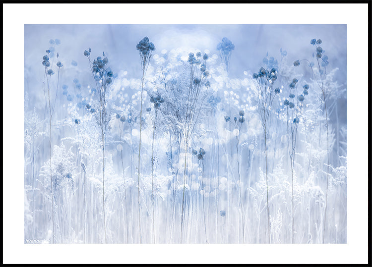 Icy blue Plakat - Posterbox