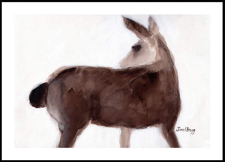 Deer On Creekside Lane Plakat - Posterbox