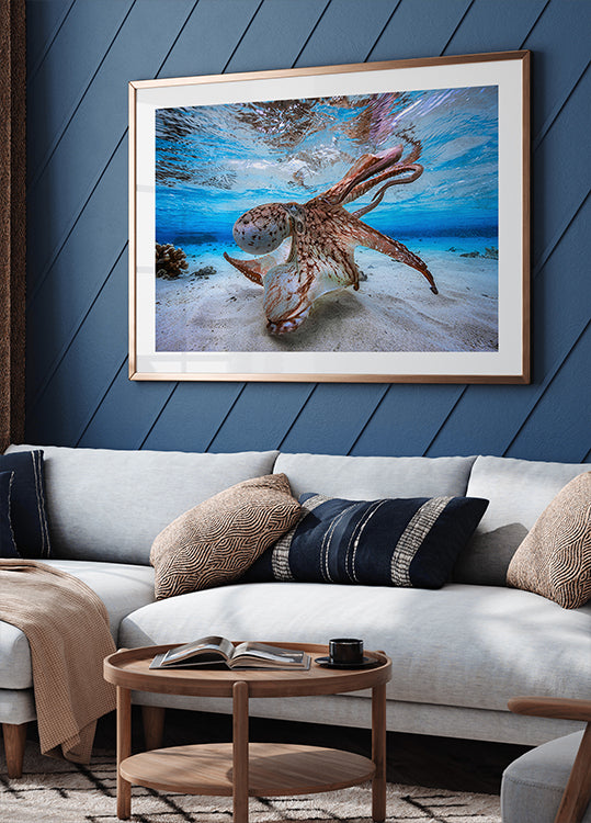 Plakát Tančící Chobotnice