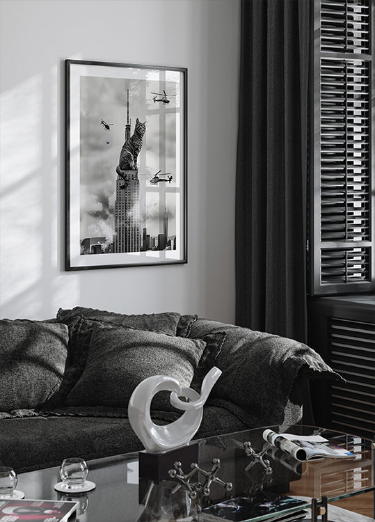 Plakát kočka nahoře