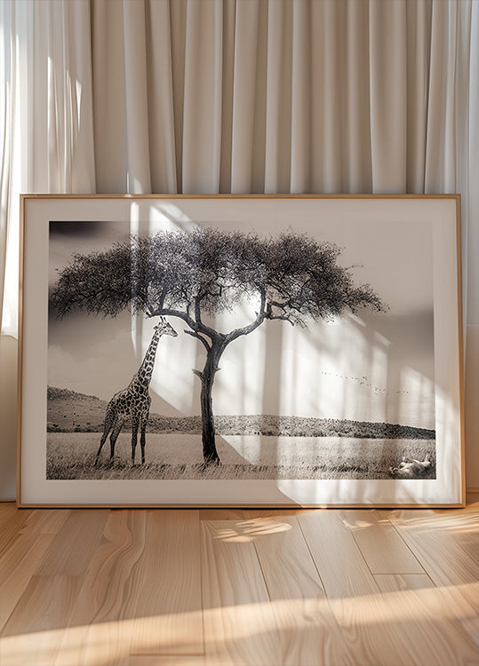 Plakát pod africkým sluncem