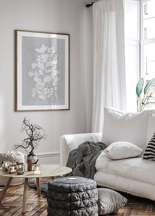 Botanická ilustrace 2 plakát