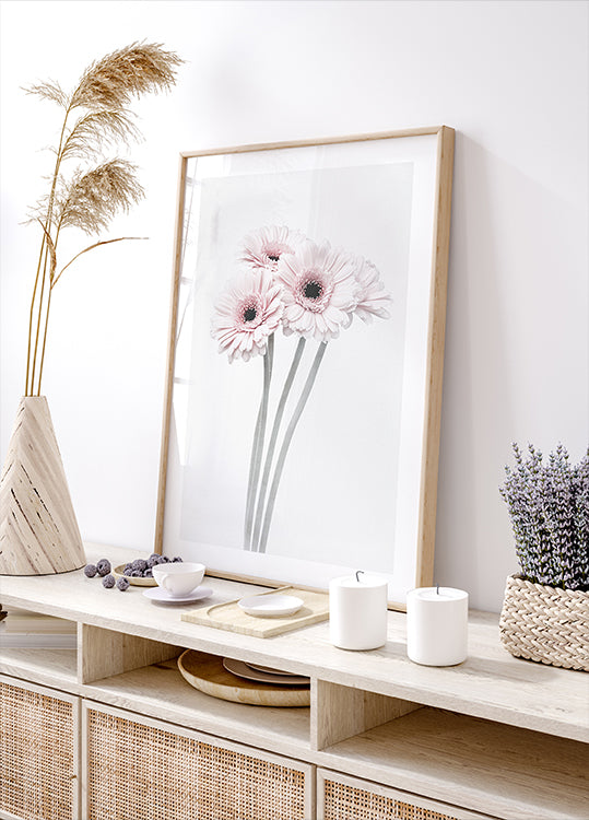 Růžové květy plakát