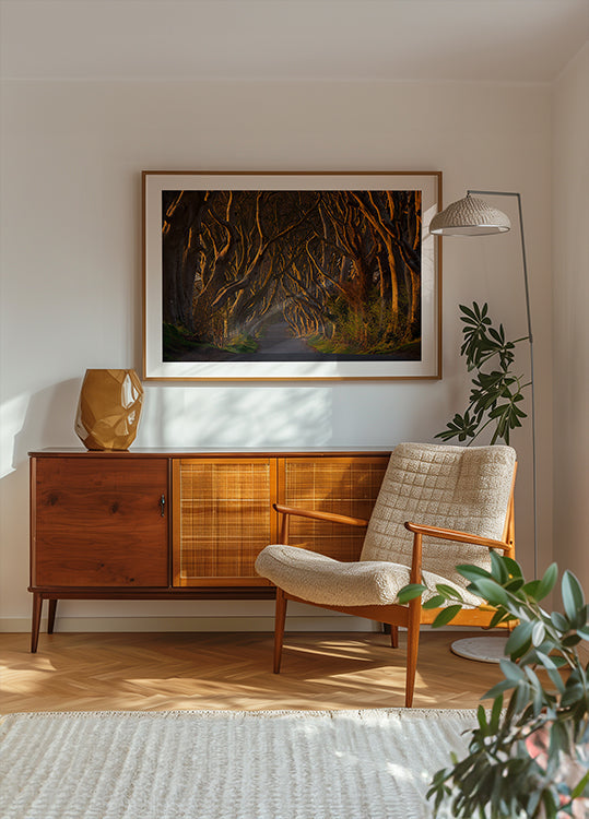 Temné živé ploty v ranním slunci