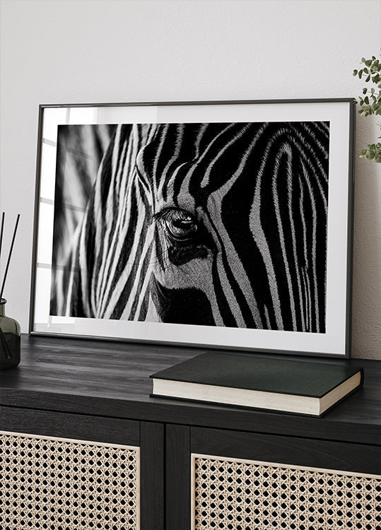 Abstraktní Zebra plakát