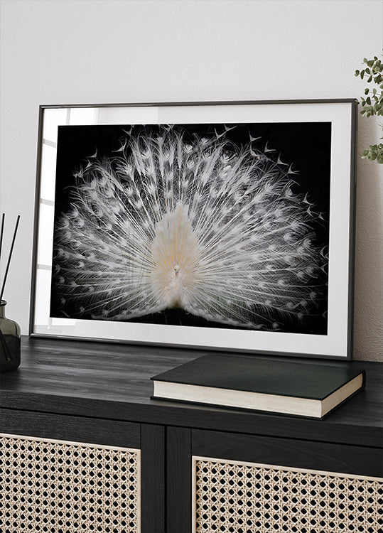 černá a bílá, plakát