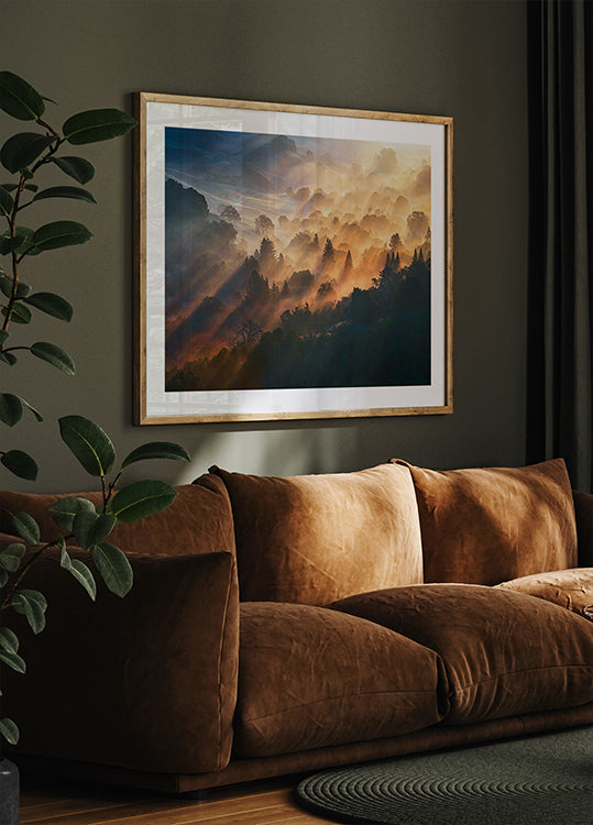 Plakát ranní světlo