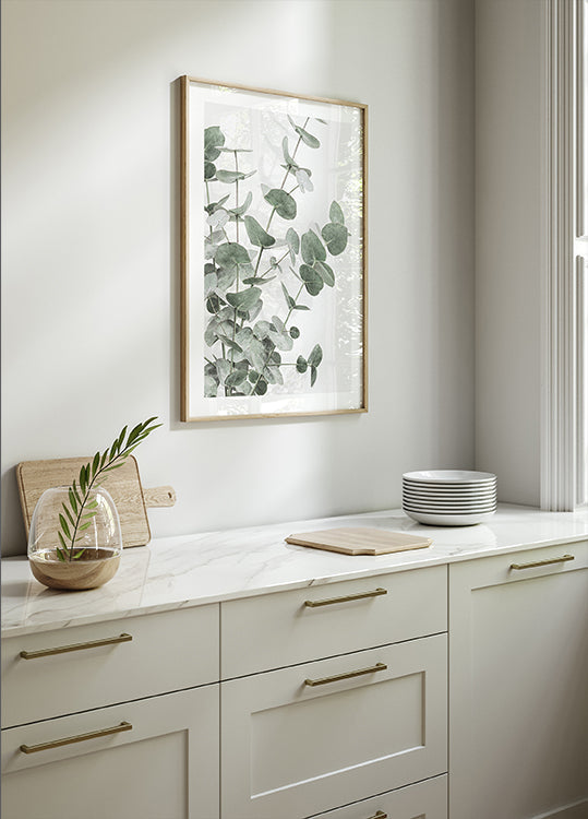 Plakát Eucalyptus_003