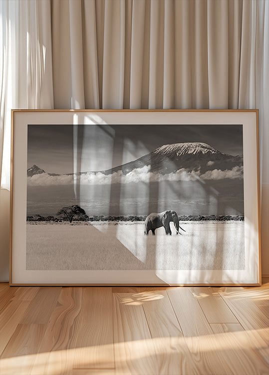 Plakát Ztracené barvy II