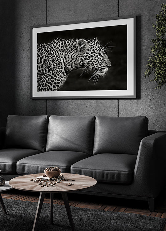 Leopard zblízka plakát