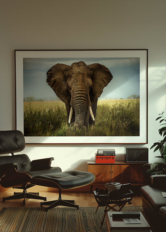 Setkání v Serengeti