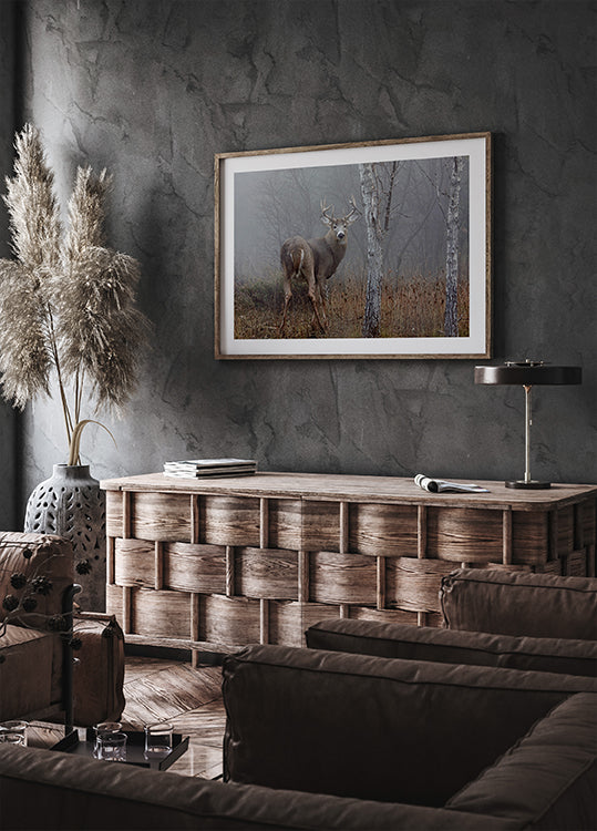 Plakát White-tailed buck - V podzimní mlze