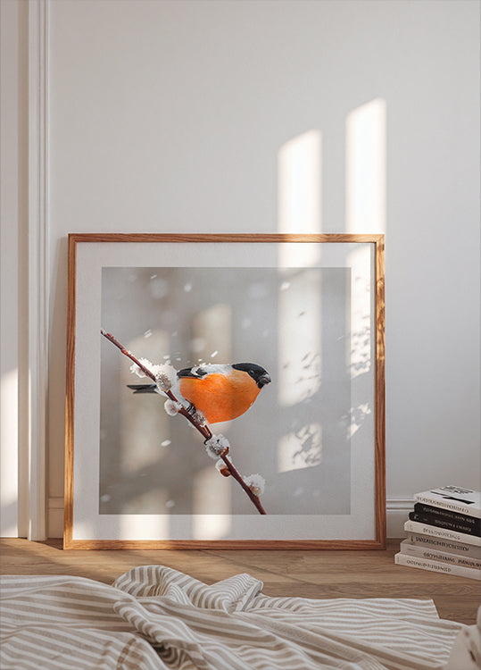 Plakáty Hýl ve sněhové bouři