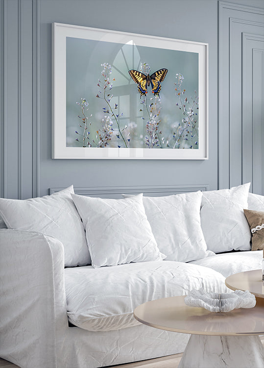 Vlaštovičník krása