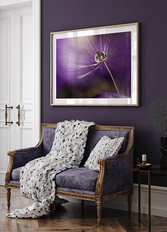 V odstínech fialové