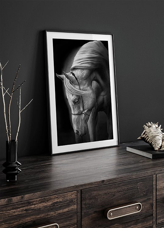 bílý hřebec plakát