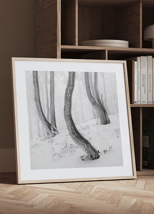 Plakáty Frozen Forest