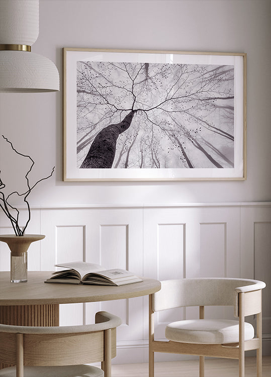 Plakát Pohled na korunu stromu