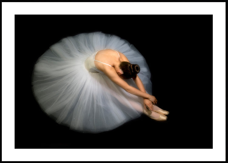 Elegance - Posterbox