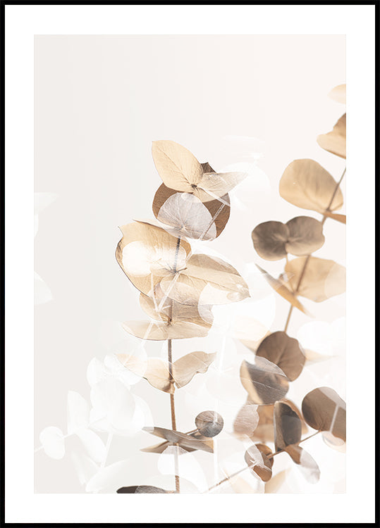 Eucalyptus Creative Gold 01 Plakat - Posterbox