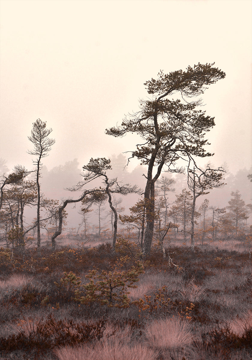 Sochařské stromy plakát