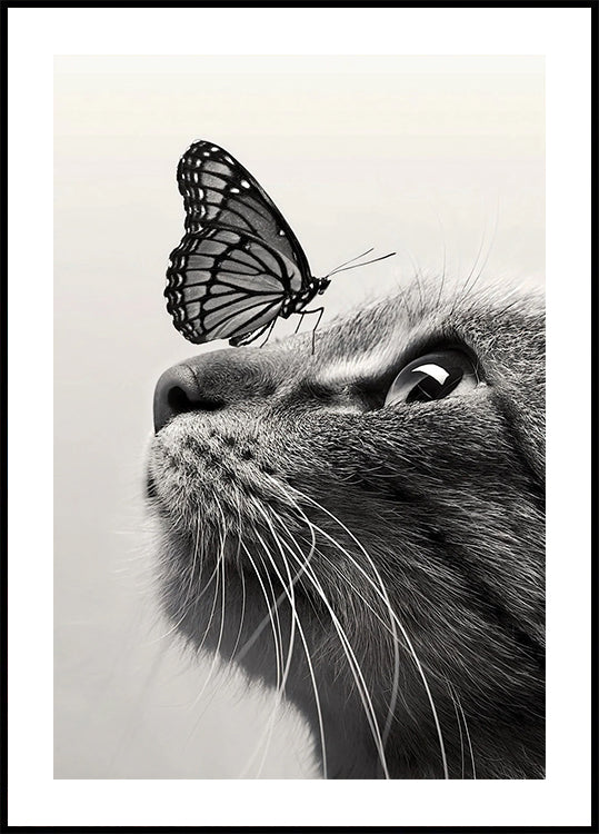 Butterfly Cat Plakat - Posterbox.dk
