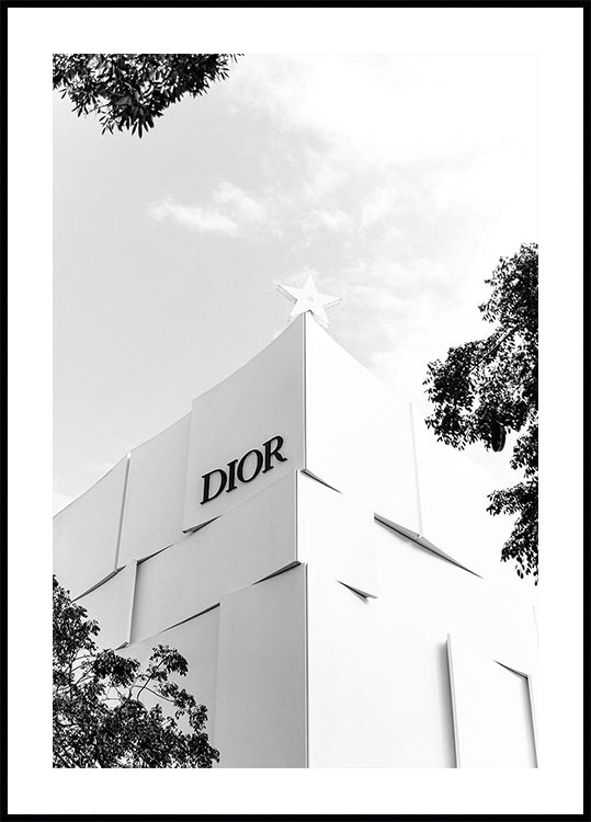 Dior Miami Boutique Black & White Plakat - Posterbox