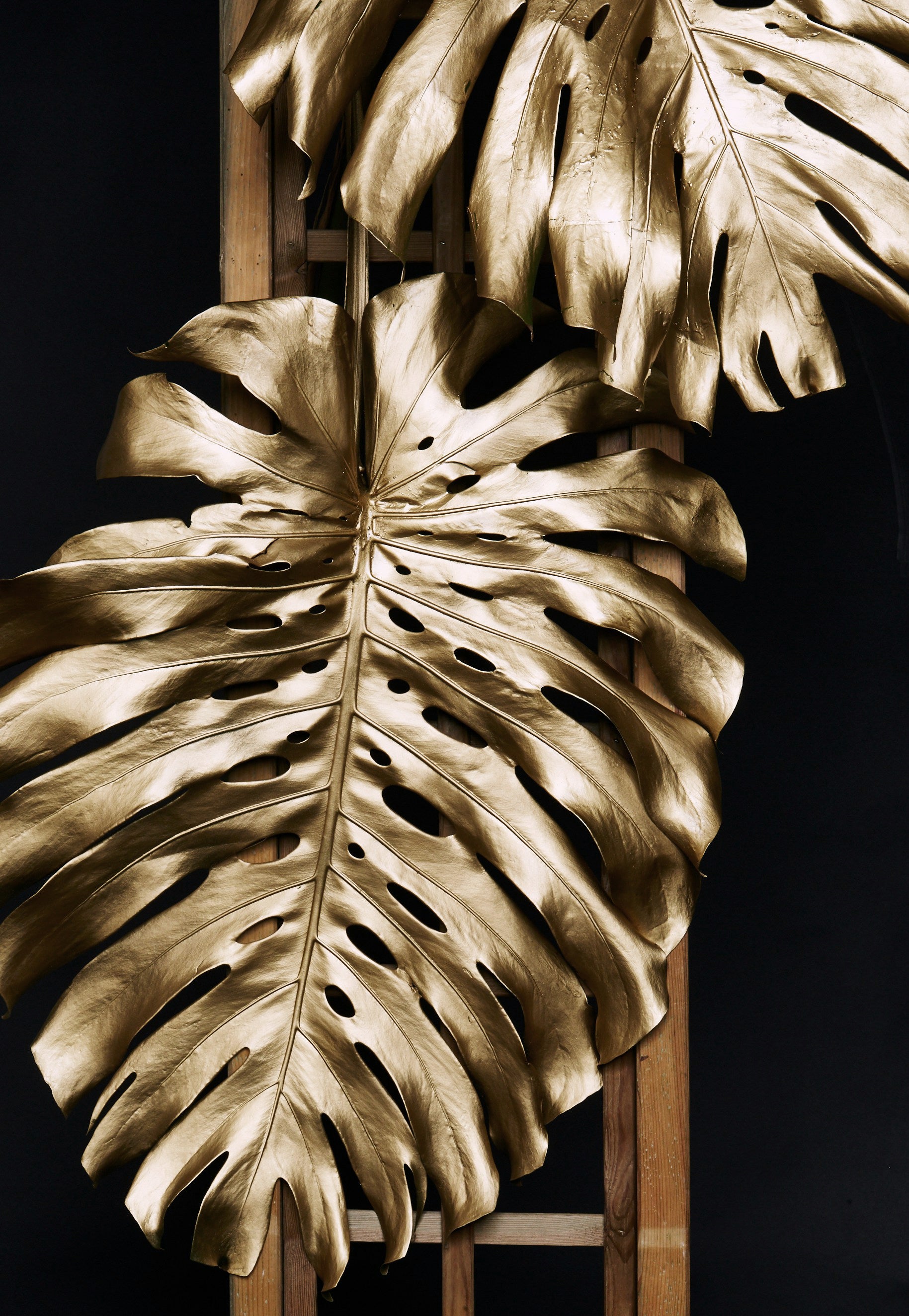 Plakát Golden Monstera №2 - Posterbox.dk