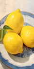 Lemon Still Life, Blue Rimmed Plate Plakat - Posterbox.dk