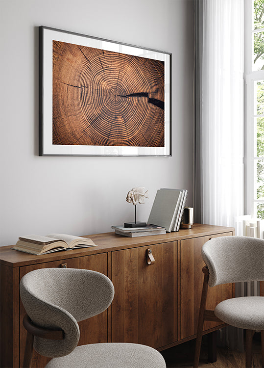 Rings of Time: A Tree’s Life Story Plakat - Posterbox.dk